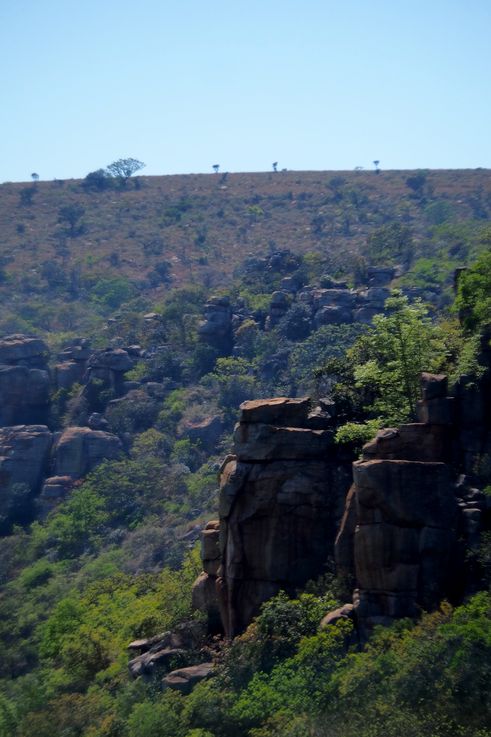 Blyde Canyon
Altitude : 1132 mètres