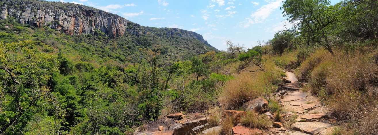 Blyde Canyon
Altitude : 1099 mètres