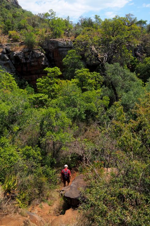 Blyde Canyon
Altitude : 964 mètres
