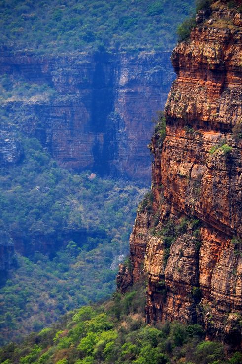 Blyde Canyon
Altitude : 1007 mètres