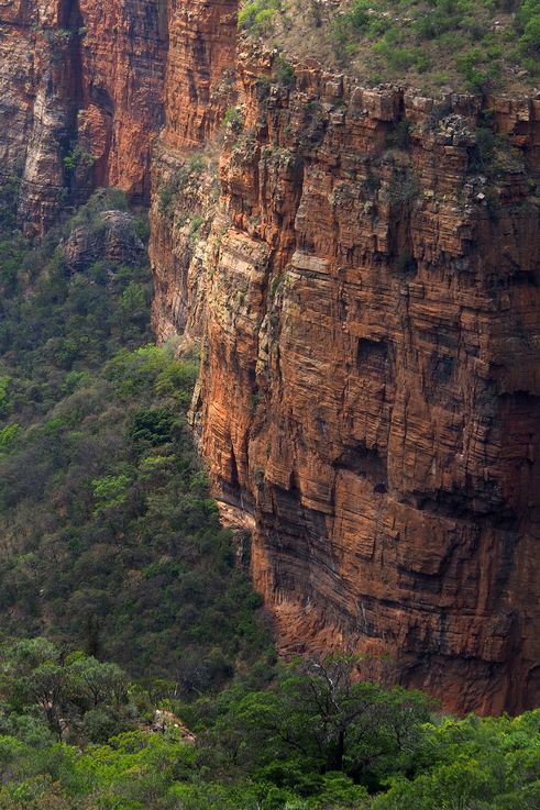 Blyde Canyon
Altitude : 1008 mètres