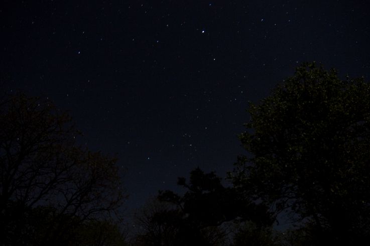 Dans le Tsendze Rustic Camp du Kruger National Park