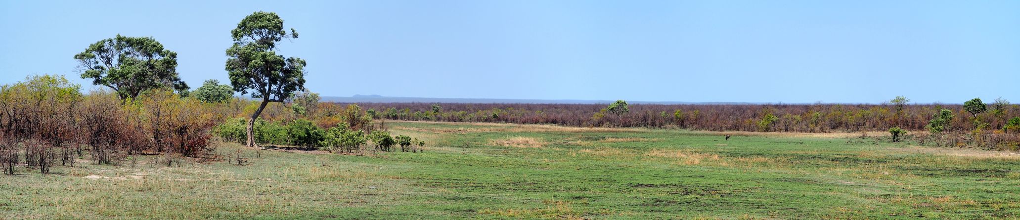 Kruger National Park
Altitude : 302 mètres