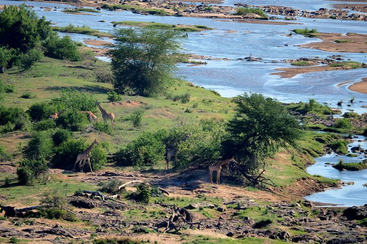 Olifants river au Kruger National Park
Altitude : 283 mètres