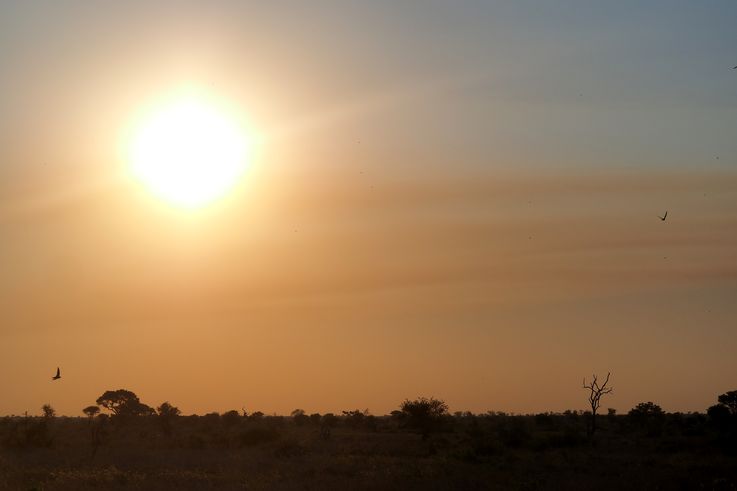 Coucher de Soleil au Kruger National Park
Altitude : 315 mètres