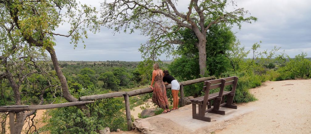 Timbavati au Kruger National Park
Altitude : 402 mètres