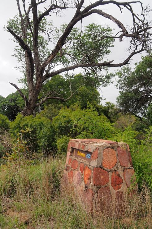 Kruger National Park
Altitude : 382 mètres