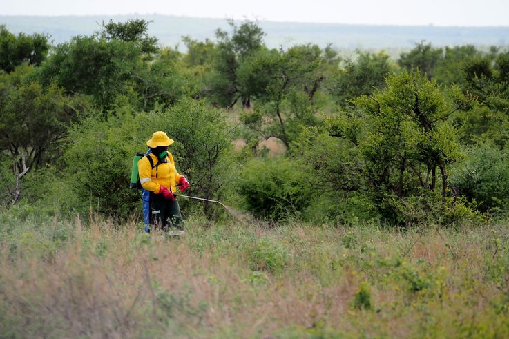 Kruger National Park
Altitude : 203 mètres