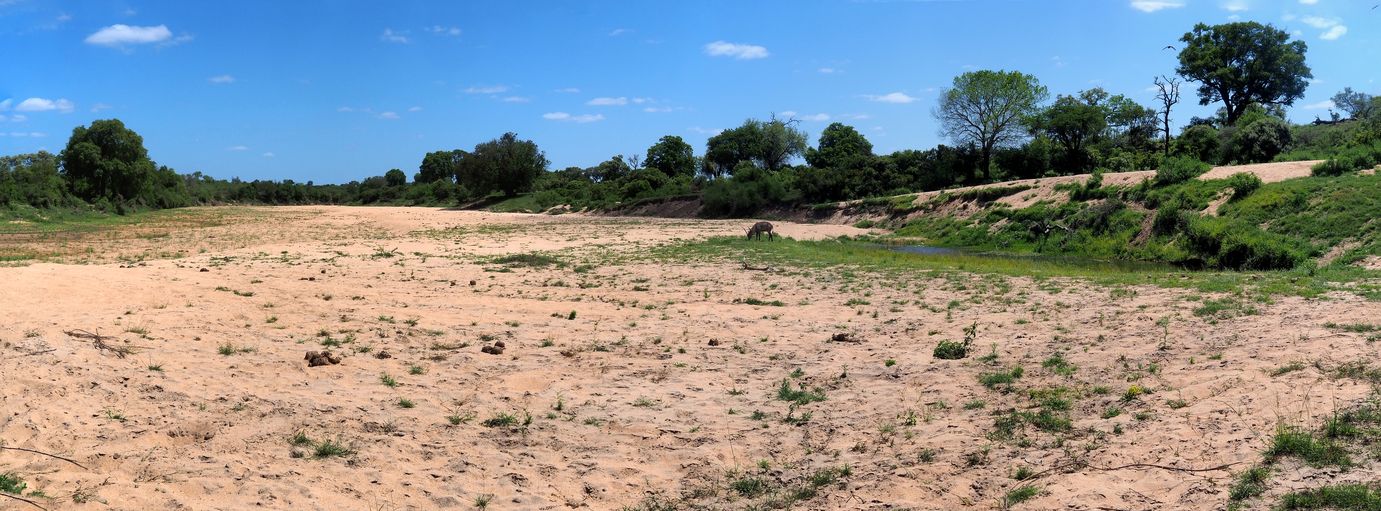 Kruger National Park
Altitude : 243 mètres