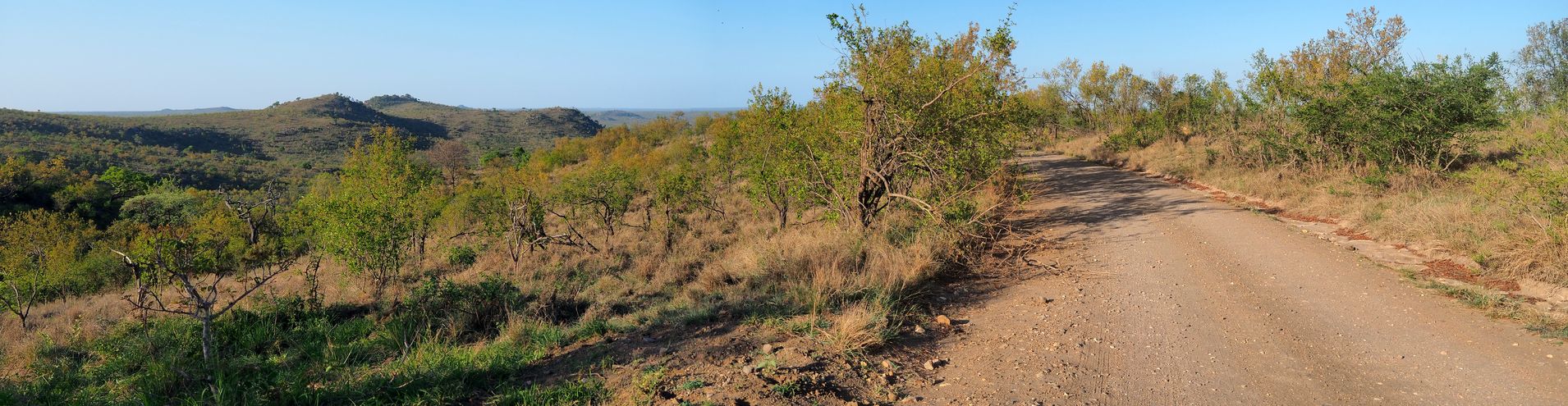 Kruger National Park
Altitude : 513 mètres