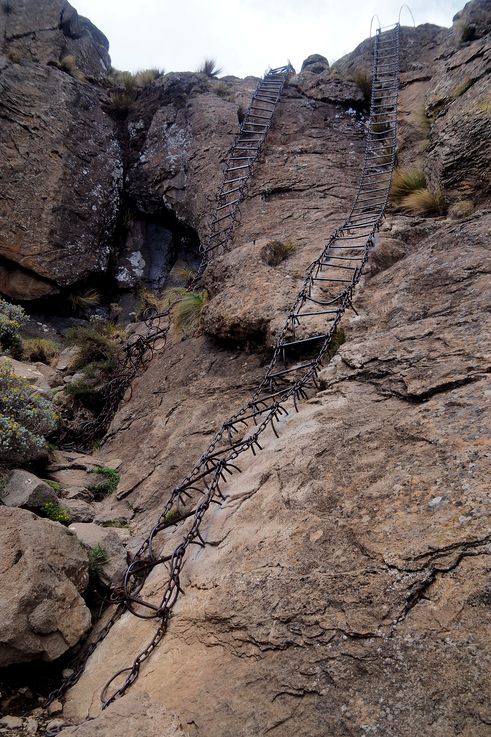 Echelles du Chain Ladders Royal Natal National Park
Altitude : 3003 mètres