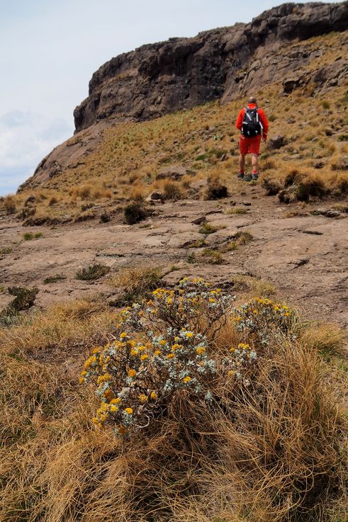Royal Natal National Park Sentinel Hiking Trail dans le Drakensberg
Altitude : 3011 mètres