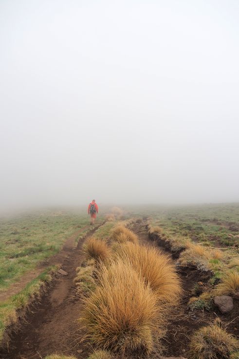 Royal Natal National Park Sentinel Hiking Trail dans le Drakensberg
Altitude : 3018 mètres
