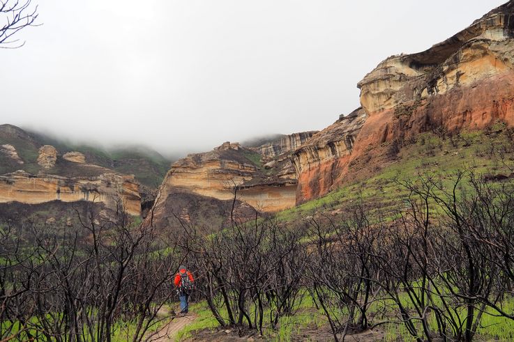 Golden Gate Highlands National Park dans le Drakensberg
Altitude : 1960 mètres