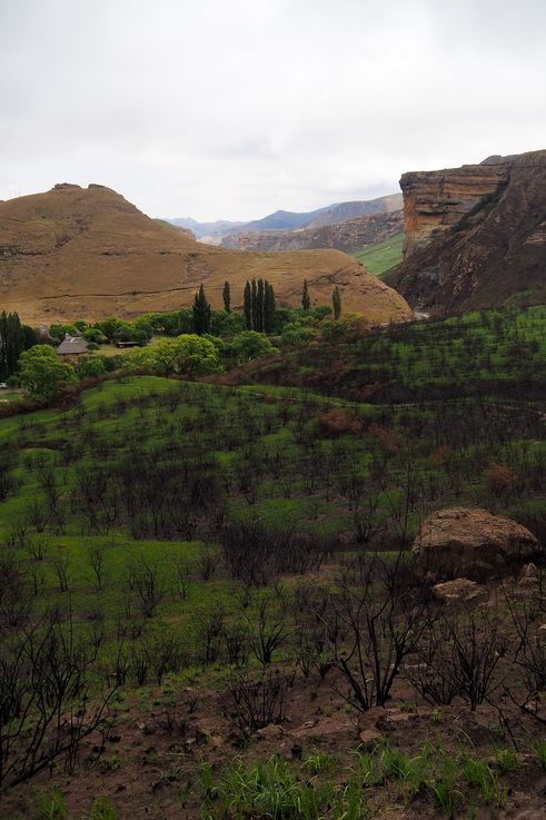 Golden Gate Highlands National Park dans le Drakensberg
Altitude : 1995 mètres
