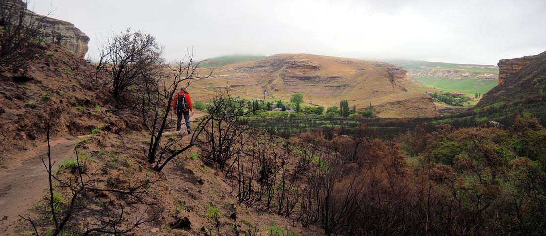 Golden Gate Highlands National Park dans le Drakensberg
Altitude : 2031 mètres