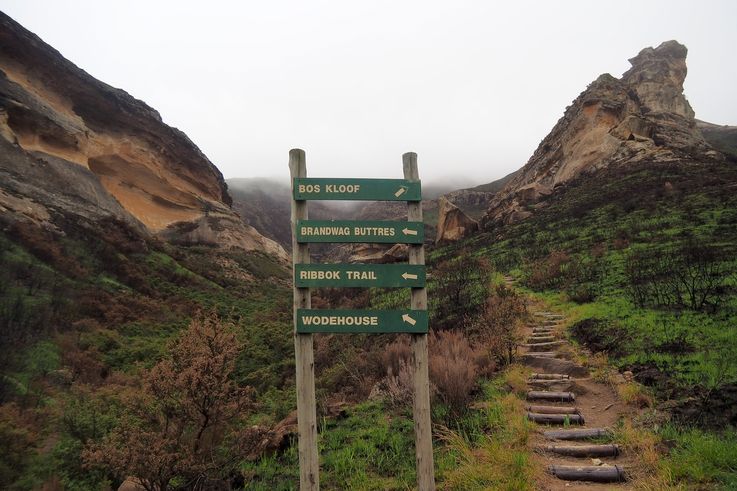 Golden Gate Highlands National Park dans le Drakensberg
Altitude : 1994 mètres