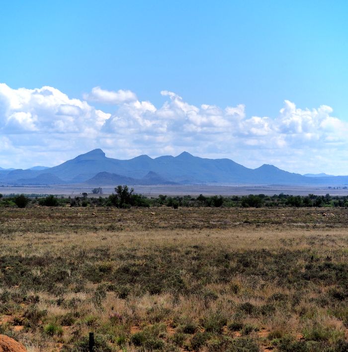 N10 Road
Altitude : 1255 mètres