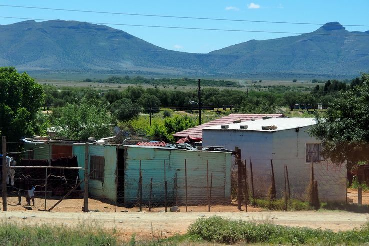 Cradock
Altitude : 906 mètres