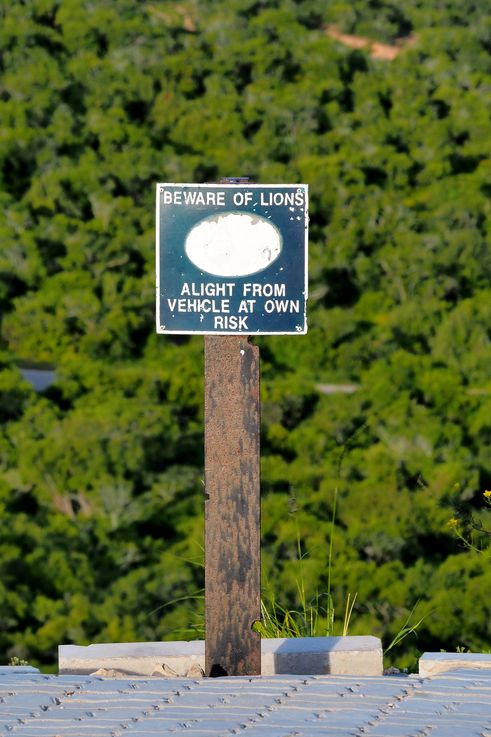 Beware of Lions - Parc Addo Elephant
Altitude : 334 mètres