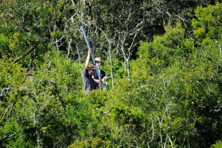 Au parc Addo Elephant
Altitude : 243 mètres
