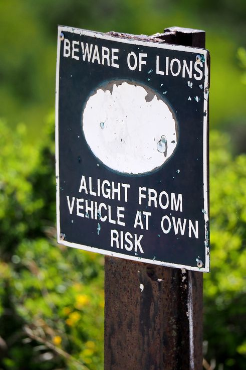 Beware of Lions - Parc Addo Elephant
