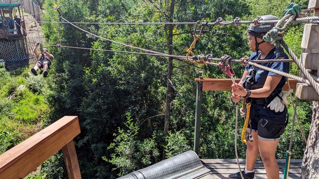 Tsitsikamma Canopy Tour
Altitude : 250 mètres