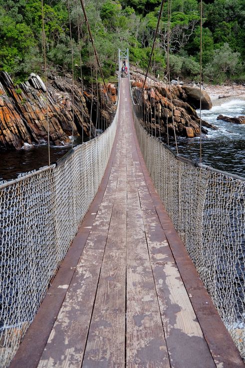 Pont suspendu dans le parc national de Tsitsikamma
Altitude : 37 mètres