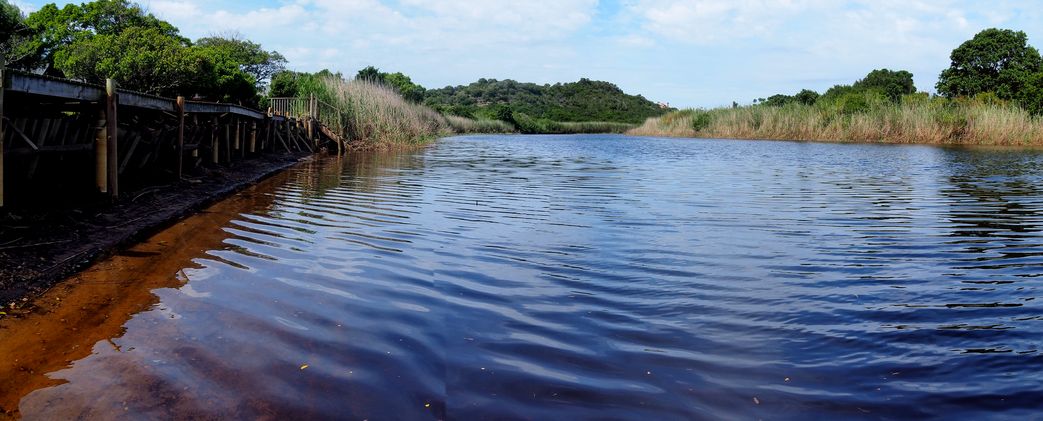 En canoé sur la rivière Touws à Wilderness
Altitude : 28 mètres
