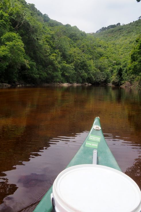 En canoé sur la rivière Touws à Wilderness
Altitude : 22 mètres