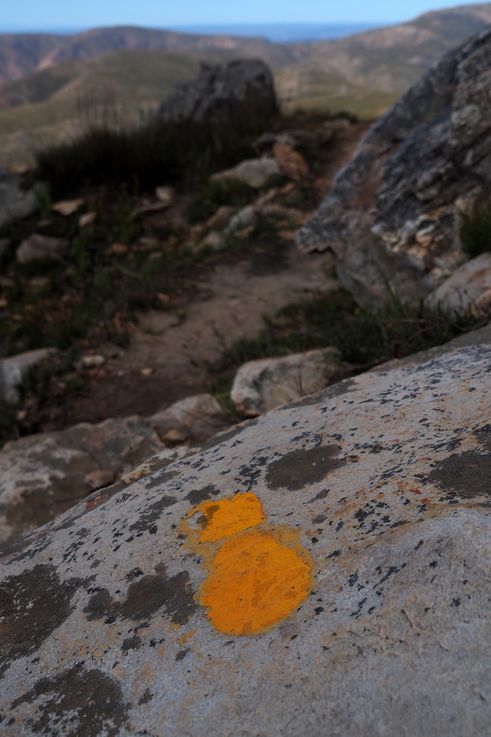 Col de Swartberg
Altitude : 1649 mètres