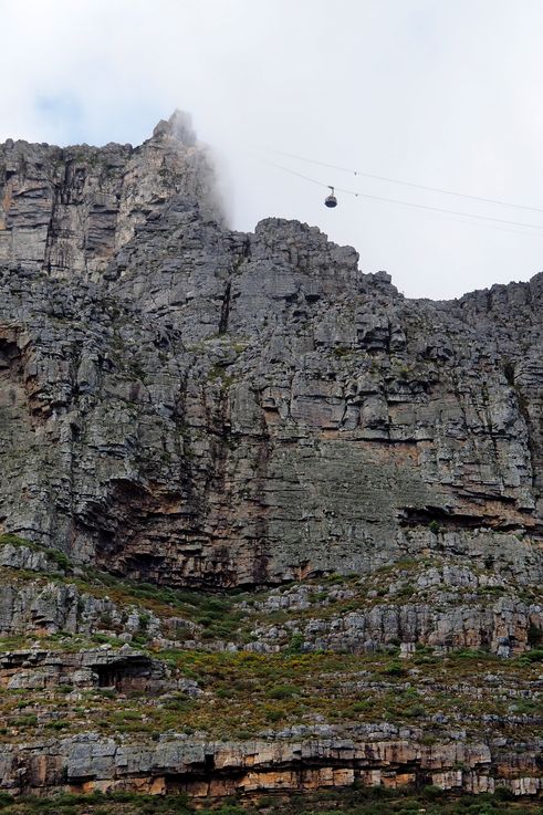 Table Mountain
Altitude : 388 mètres