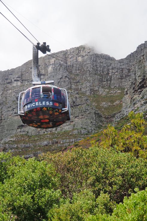 Téléphérique du Table Mountain
Altitude : 396 mètres