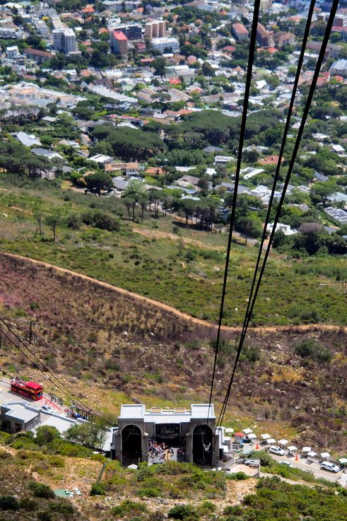 Téléphérique du Table Mountain
Altitude : 583 mètres