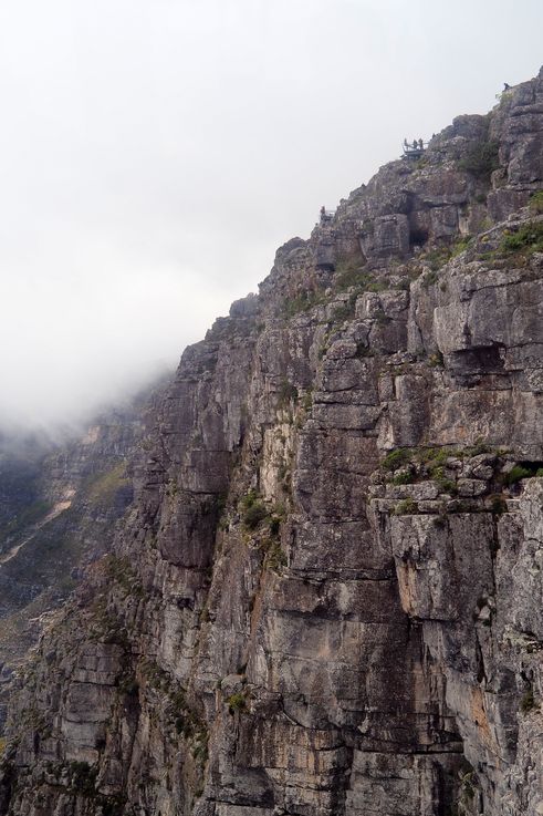 Table Mountain
Altitude : 1038 mètres