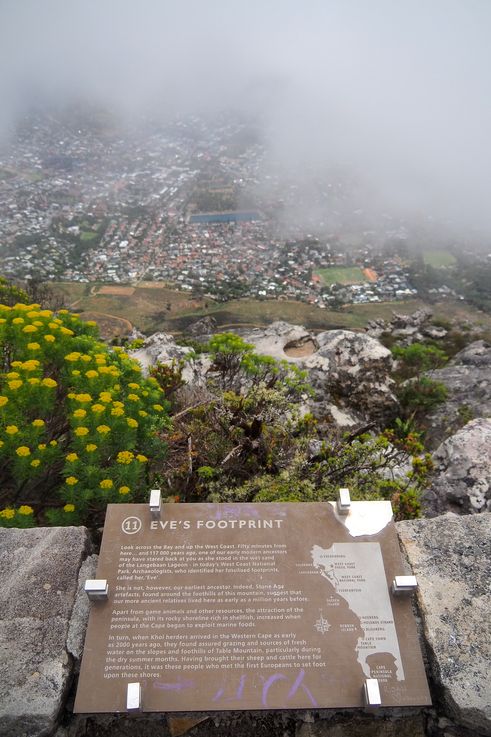 Table Mountain
Altitude : 1099 mètres