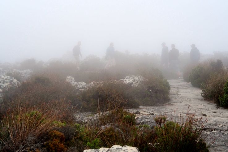 Table Mountain
Altitude : 1102 mètres
