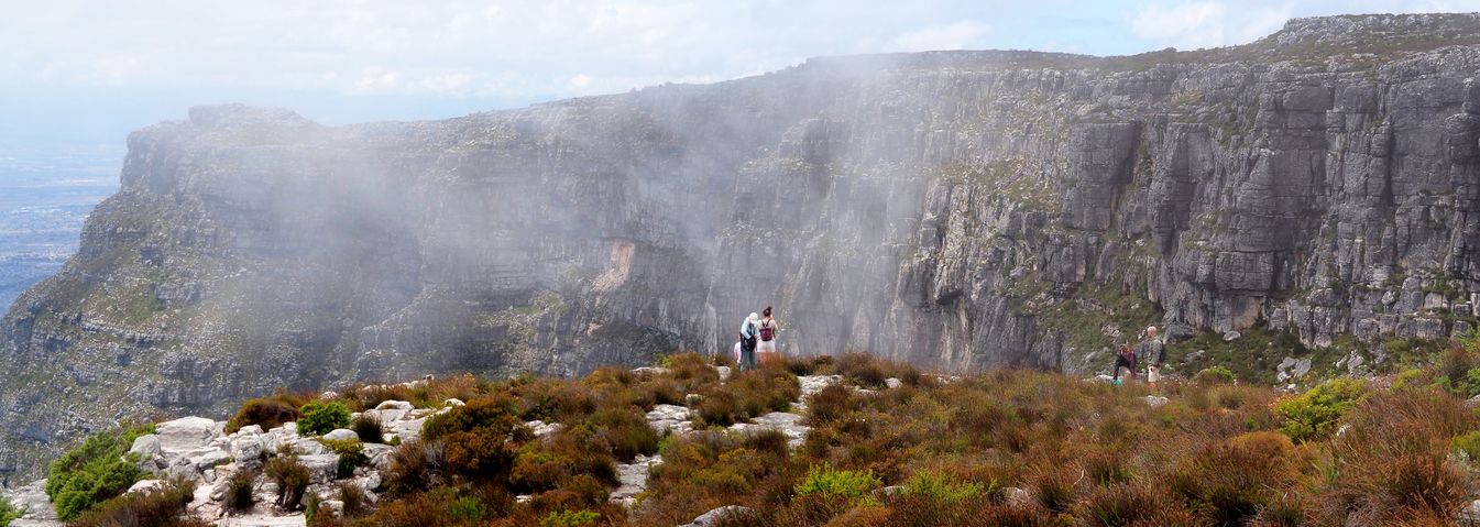 Table Mountain
Altitude : 1098 mètres