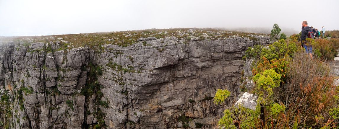 Table Mountain
Altitude : 1100 mètres