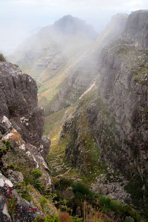 Table Mountain
Altitude : 1099 mètres