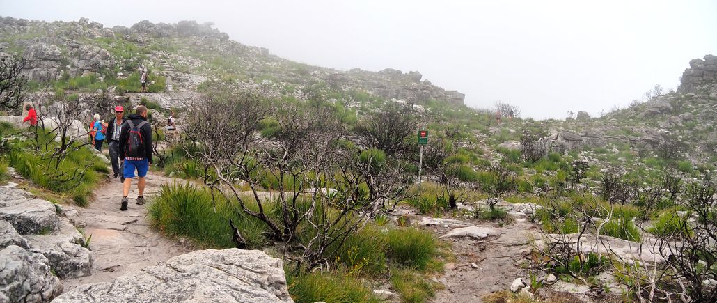 Table Mountain
Altitude : 1077 mètres