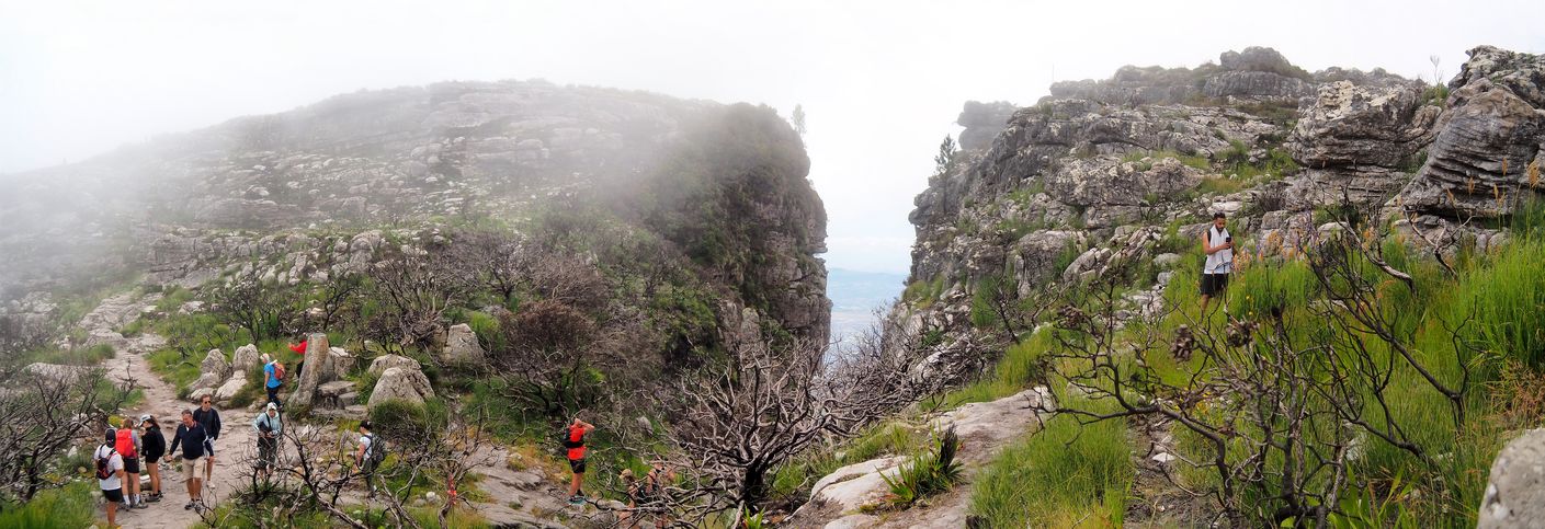 Table Mountain
Altitude : 1078 mètres