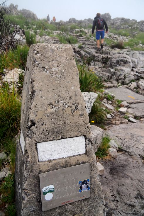 Table Mountain
Altitude : 1079 mètres