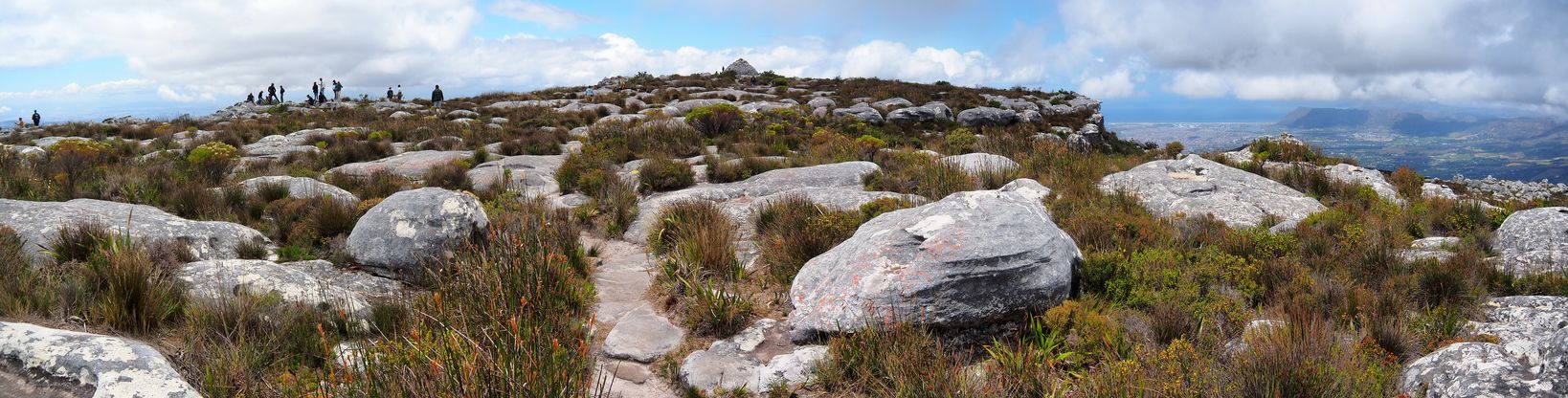 Table Mountain
Altitude : 1111 mètres