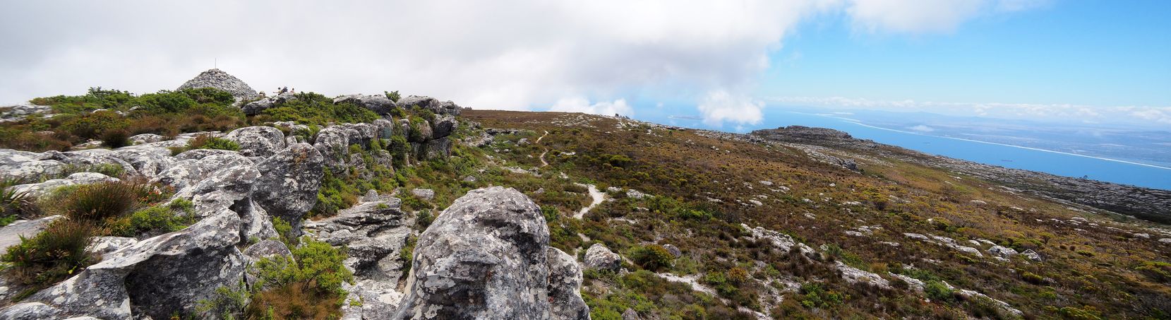 Table Mountain
Altitude : 1116 mètres