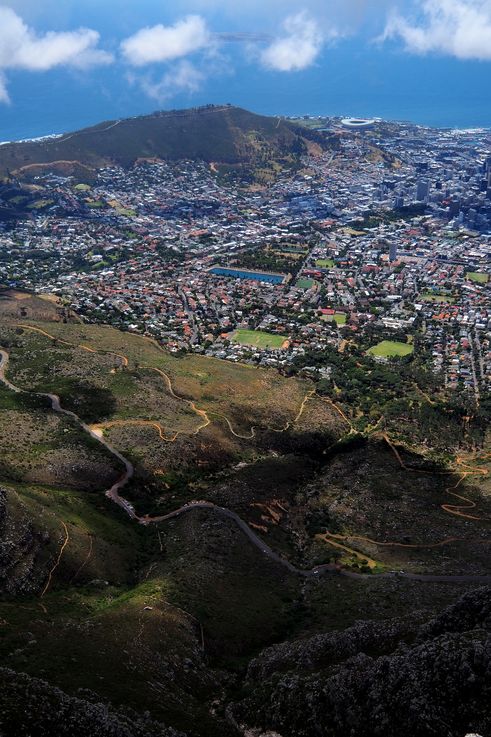 Du haut de Table Mountain
Altitude : 1100 mètres