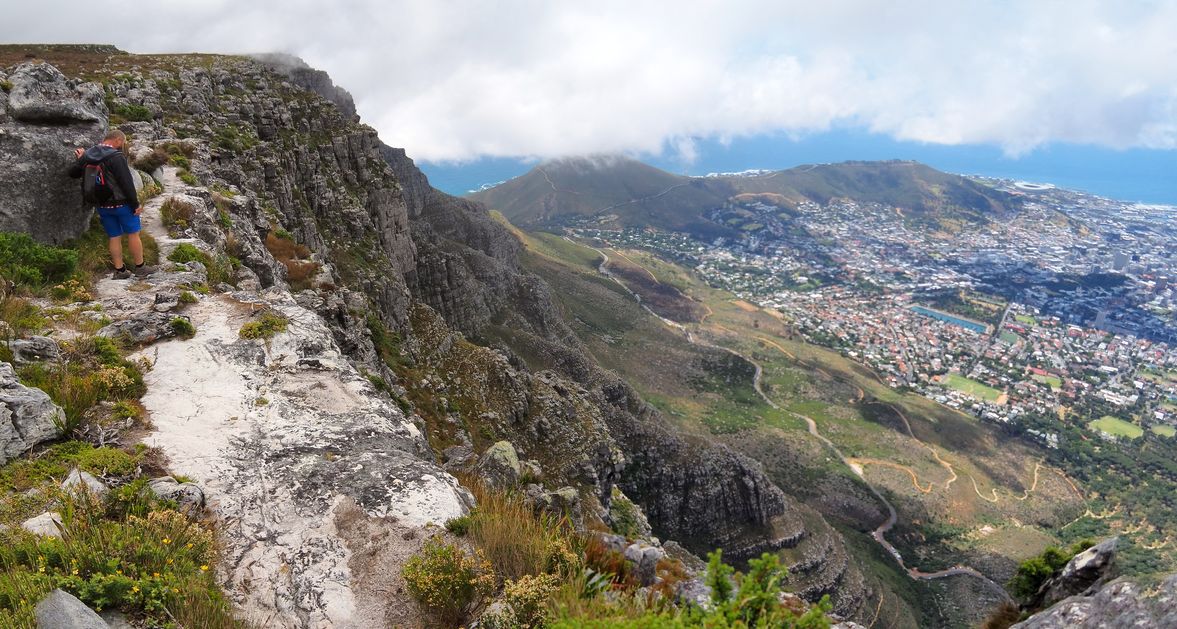 Table Mountain
Altitude : 1102 mètres