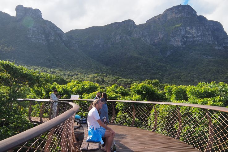 Kirstenbosch Botanical Gardens à Cape Town
Altitude : 191 mètres