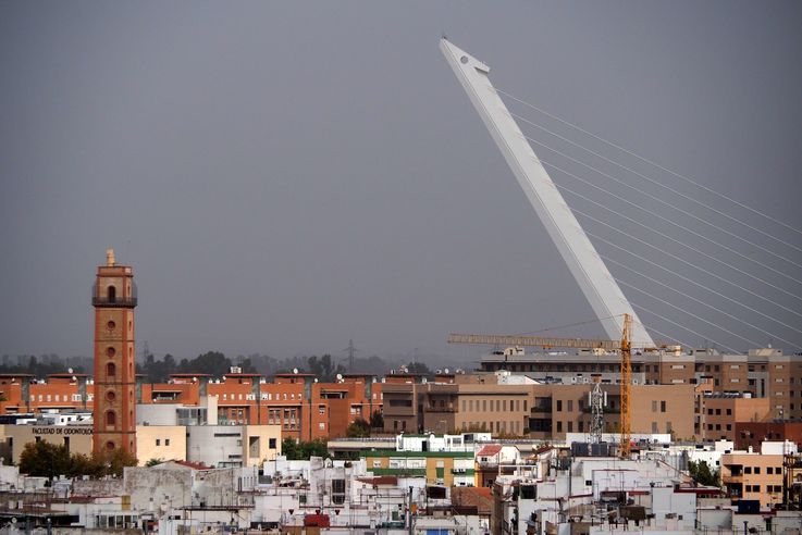Pont Del Alamillo (Séville)
Altitude : 106 mètres
