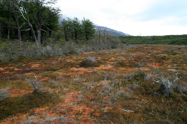 Tierra del Fuego